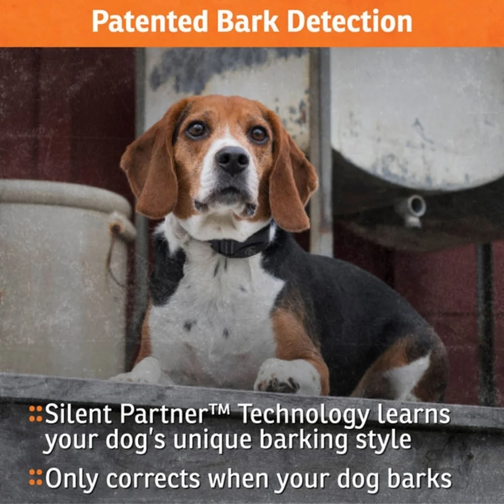 Black Rechargeable Bark Collar